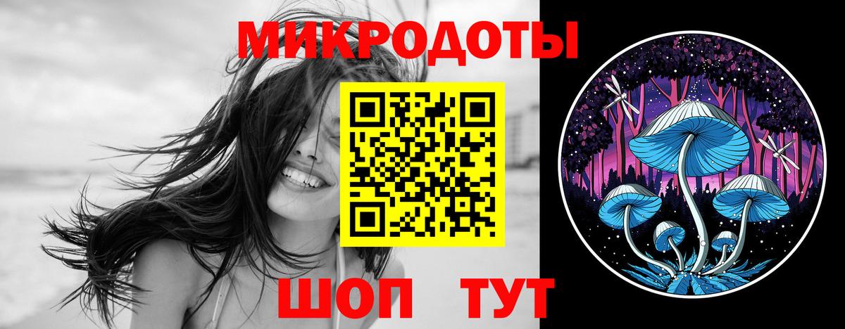Галлюциногенные грибы Psilocybine cubensis Россошь