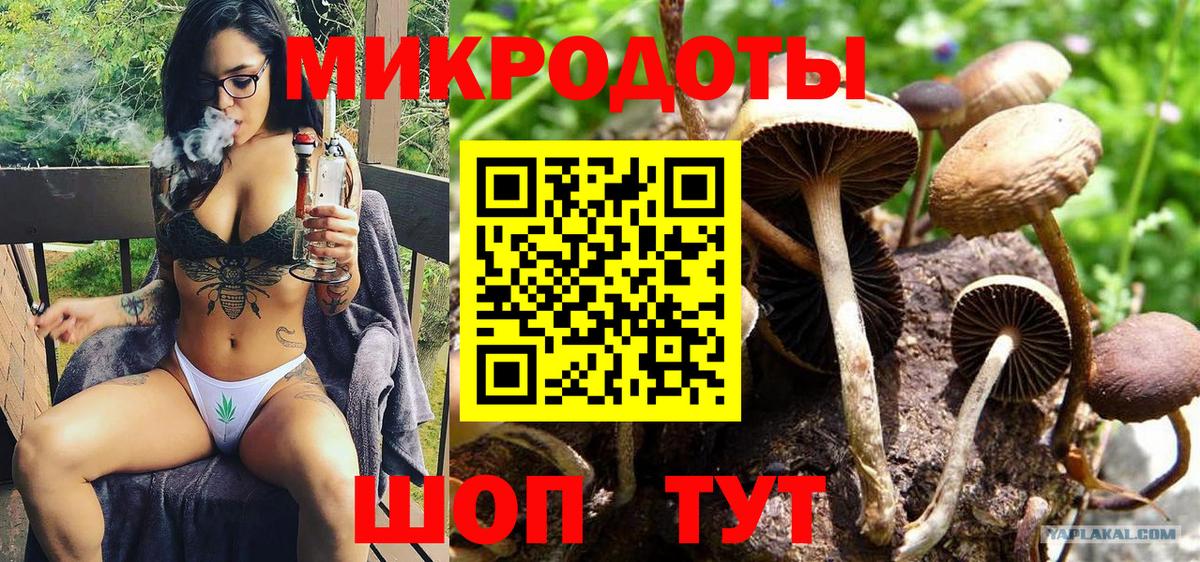 Россошь  Псилоцибиновые грибы Psilocybe  Вход с VPN  что такое наркотик  Псилоцибиновые грибы мухоморы 